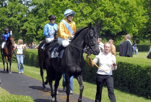 Neue Bult Mai09   062.jpg